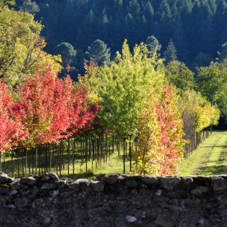 Les Pépinières à l'entrée du village