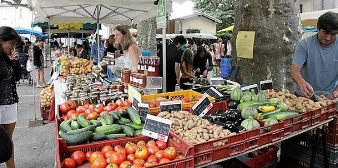 samedi-un-dernier-marche-pour-profiter-des-produits-locaux_719638_667x333